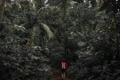 hiking-trails-in-costa-rica