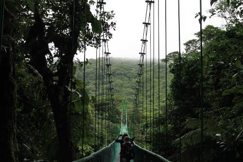 monteverde-natural-reserve-costa-rica