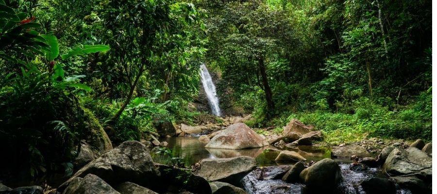 Picture El Pavón waterfall Costa Rica